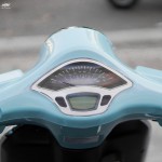 XE GA 50CC DIBAO PANSY XS 2022