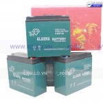 ẮC QUY XE MÁY ĐIỆN ALASHA GÀ TRỐNG 60V 20A