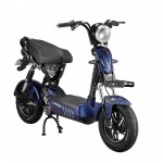 XE ĐẠP ĐIỆN 133 V3