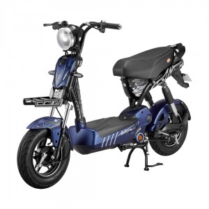 XE ĐẠP ĐIỆN 133 V3
