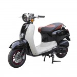 XE GA 50CC CREA VINSKY 2022