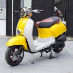 XE GA 50CC CREA VINSKY 2022