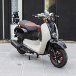 XE GA 50CC CREA VINSKY 2022