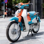 CUB 86 ROLLO 2022