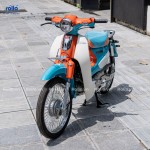 CUB 86 ROLLO 2022