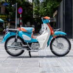 CUB 86 ROLLO 2022