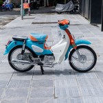 CUB 86 ROLLO 2022