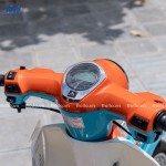CUB 86 ROLLO 2022