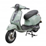XE GA 50CC DIBAO PANSY XS1 2024