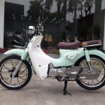 XE CUB ALLY LE 50CC