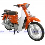 XE CUB NEW SE 50CC 2022