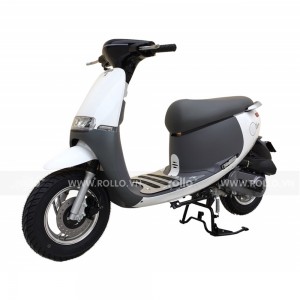 XE GA 50CC DIBAO GOFAST