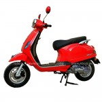 XE GA 50CC DIBAO PANSY XS 2021