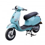 XE GA 50CC DIBAO PANSY XS 2022