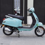 XE GA 50CC DIBAO PANSY XS 2022