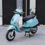 XE GA 50CC DIBAO PANSY XS 2022