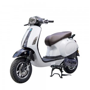 XE GA 50CC NIOSHIMA PLUS 2022