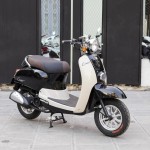 XE GA 50CC DIBAO CREER