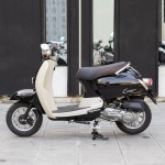 XE GA 50CC DIBAO CREER